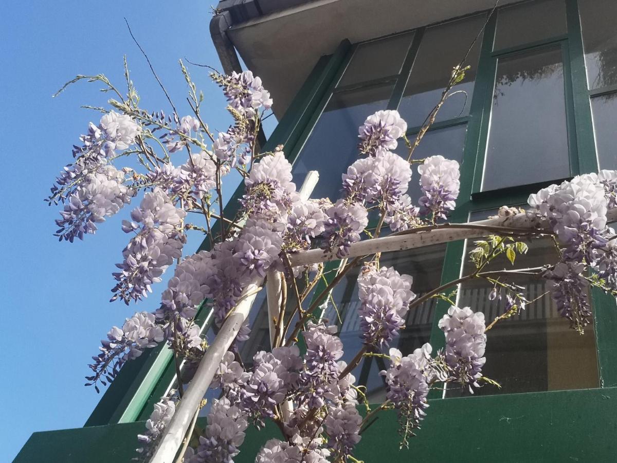 Casadei24 Lejlighed Guidonia Eksteriør billede